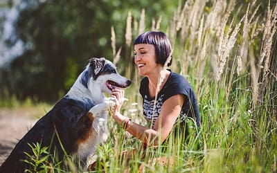 Od czego zacząć budowanie więzi z psem?