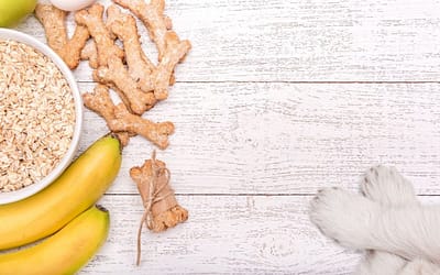 Przepisy na pyszności